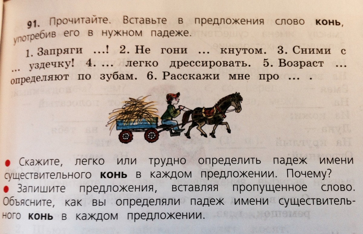 Лошадь предложение. Предложение со словом конь. Предложение со словом лошадь. Составить предложение со словом конь. Предложение со словом конь 1 класс.