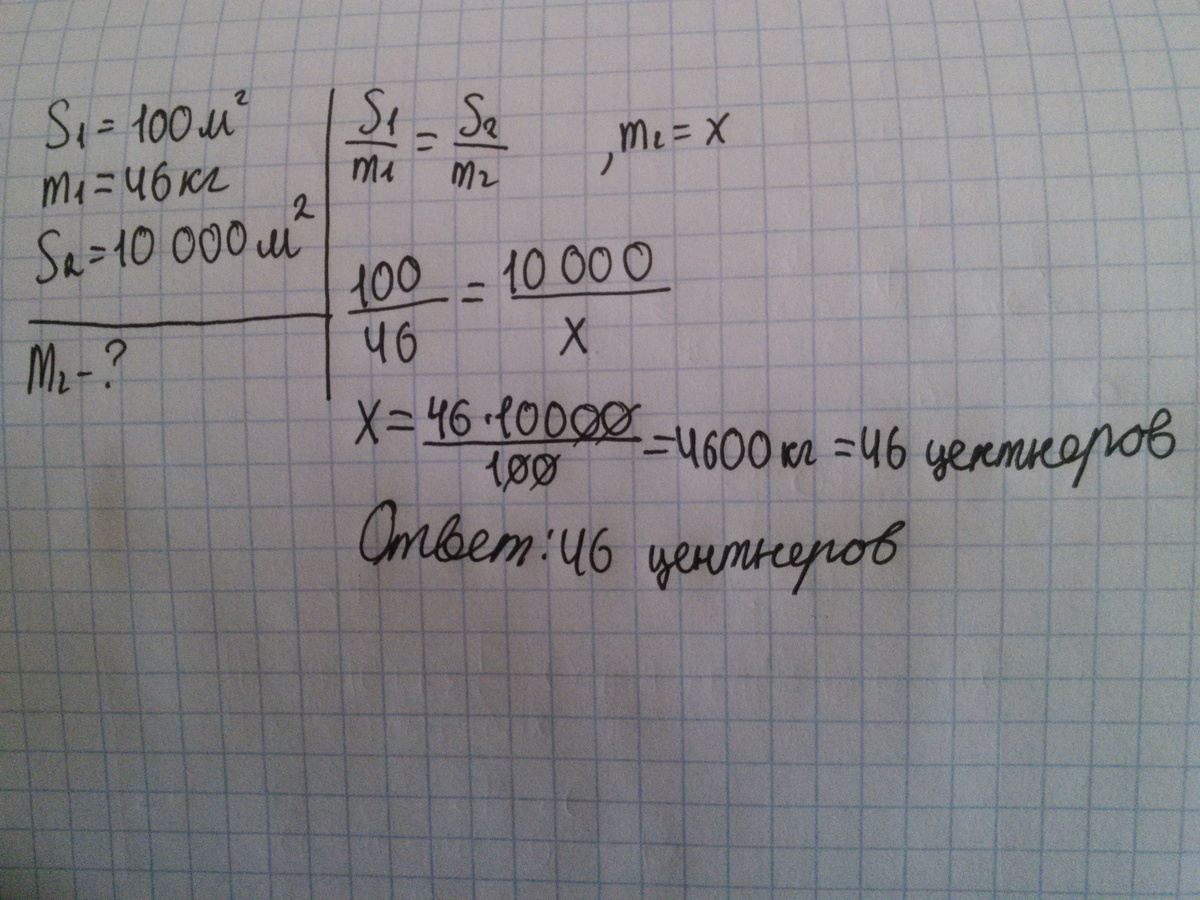 Собрали 45. Площадь участка занятого пшеницей 1200. С каждых 100м опытного участка было собрано по 46 кг зерна. Площадь участка занятого пшеницей 1200 метров квадратных метров. Площадь участка занятого пшеницей 1200 м2 с каждых 100 м2.