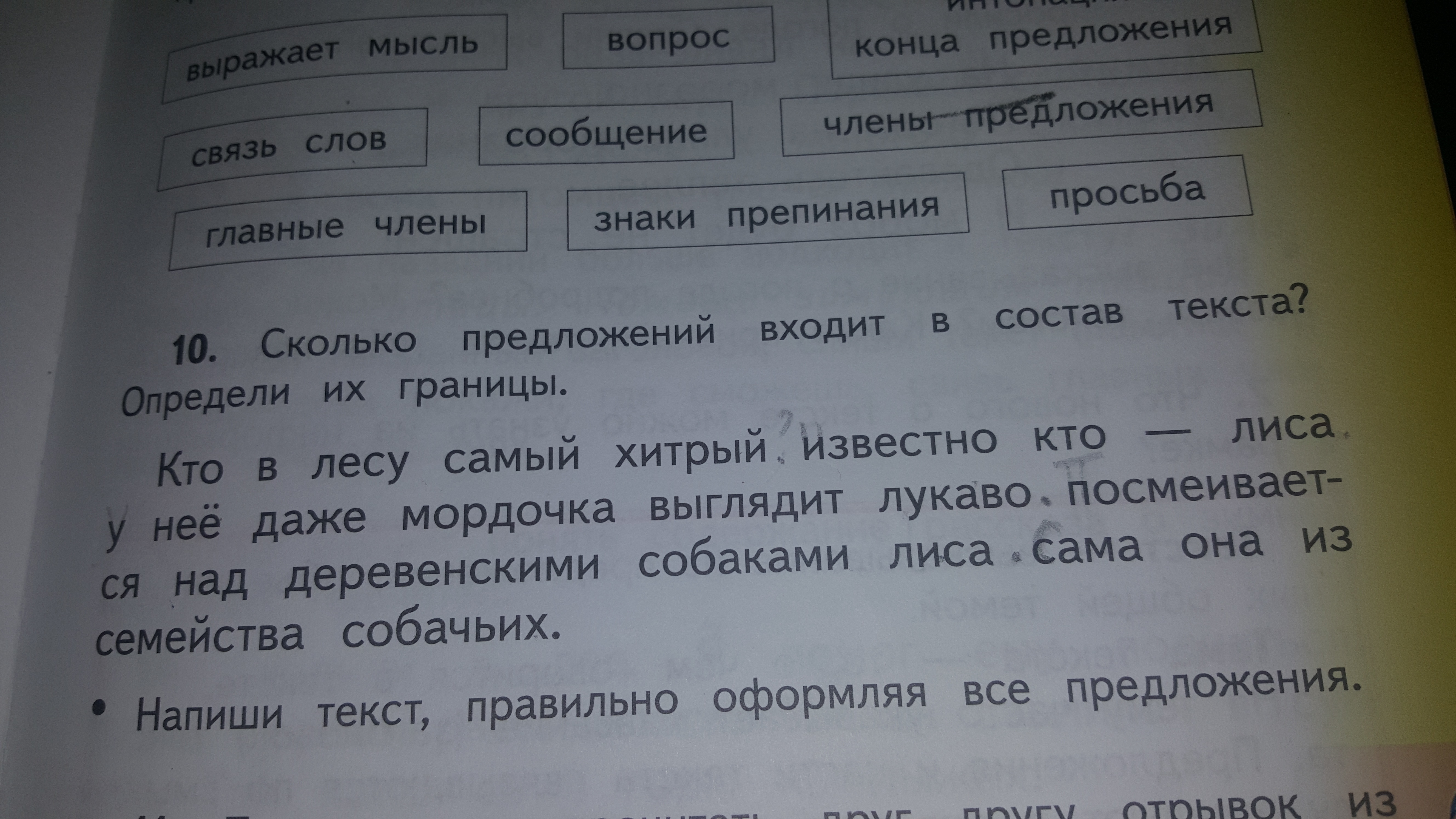 Сколько предложений в тексте. Кто в лесу самый хитрый. Кто в лесу самый хитрый известно кто. Кто в лесу самый хитрый известно кто лиса. Кто в лесу самый хитрый известно кто лиса у нее даже мордочка.