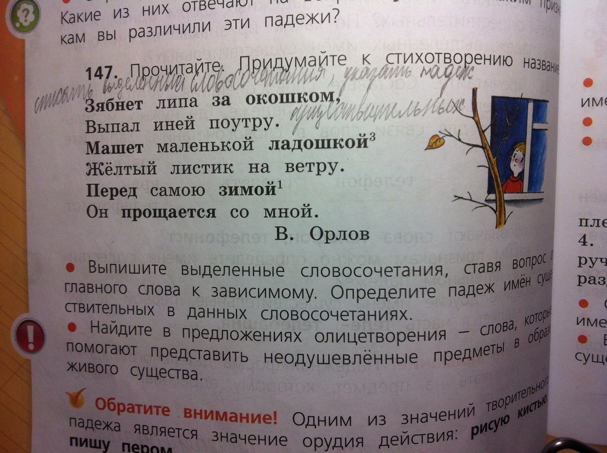 Прочитайте в выделенных словосочетаниях. Падеж слова зябнет. Падеж слова липы. На Липе падеж. Падеж слова за окошком.