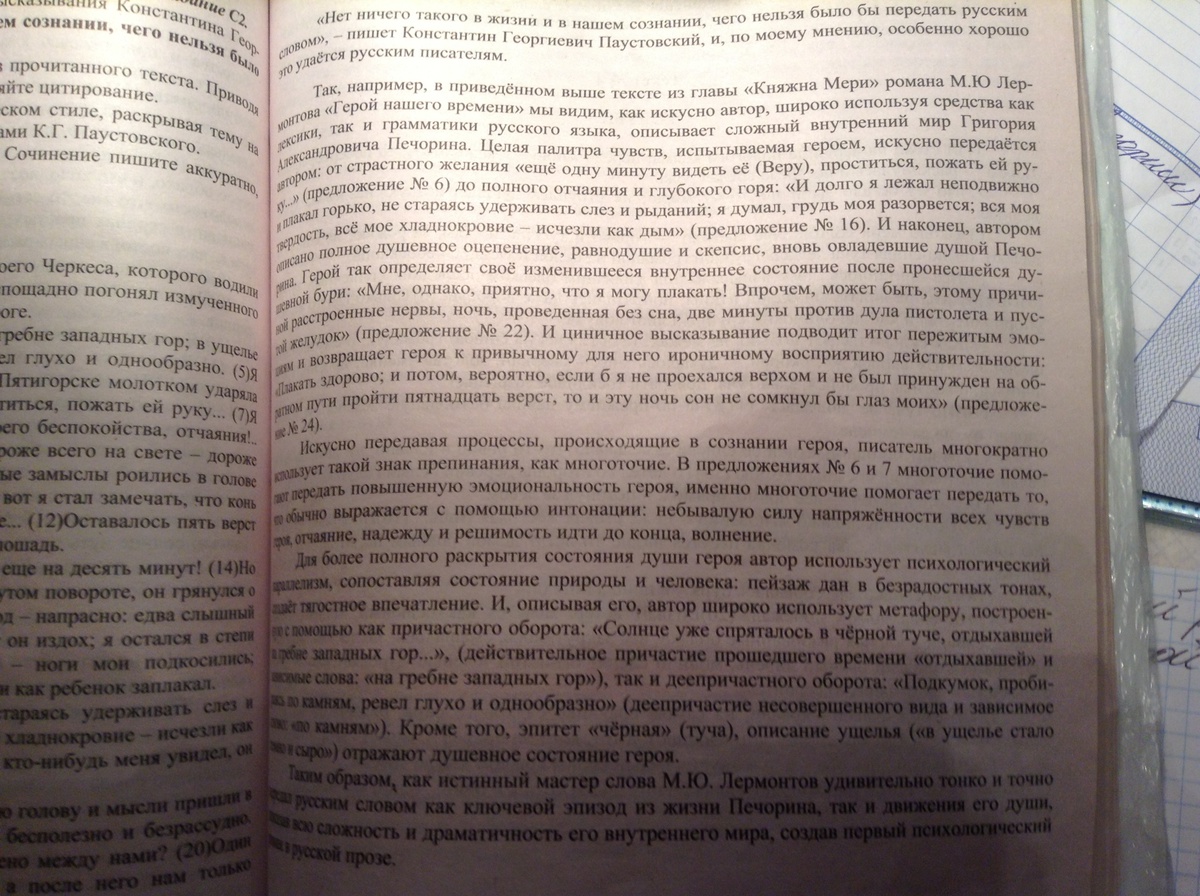 я как безумный выскочил на крыльцо. сочинение 15. курьезный случай. кыш и два портфеля пословицы к повести. последовательная связь с синонимами.