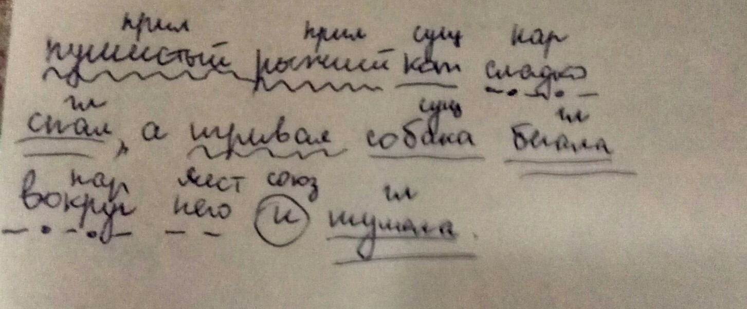 Помочь разбор. На ковре спал пушистый котенок разбор предложения. Разбор предложения пушистые котята жили в доме. Пушистый котенок сидел на полу около дивана разбор предложения.