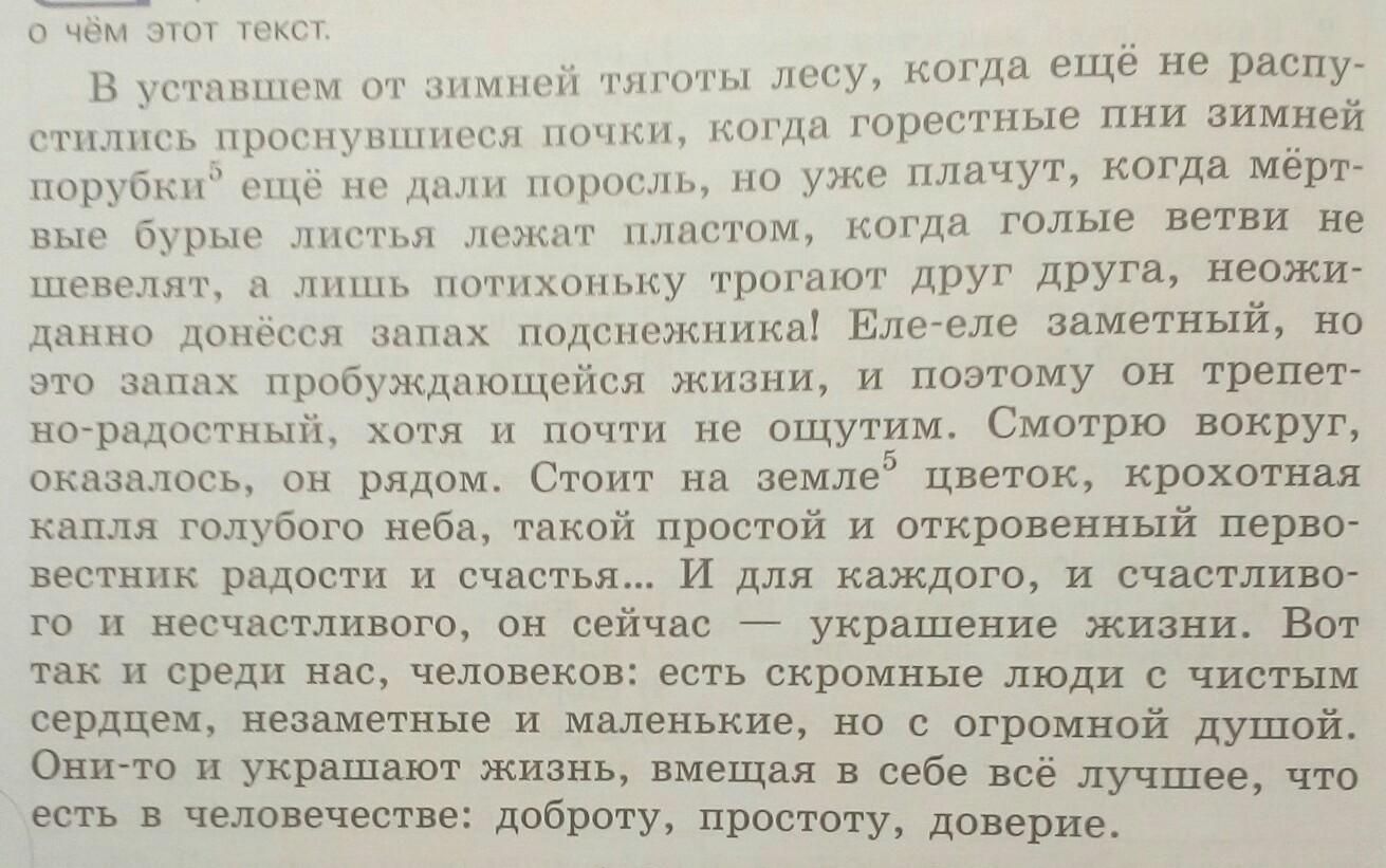 Являются текстами описаниями. Художественный текст с неологизмами. Практика сударь слоган дождь окно неологизмы. В уставшем от зимней тягости лесу.