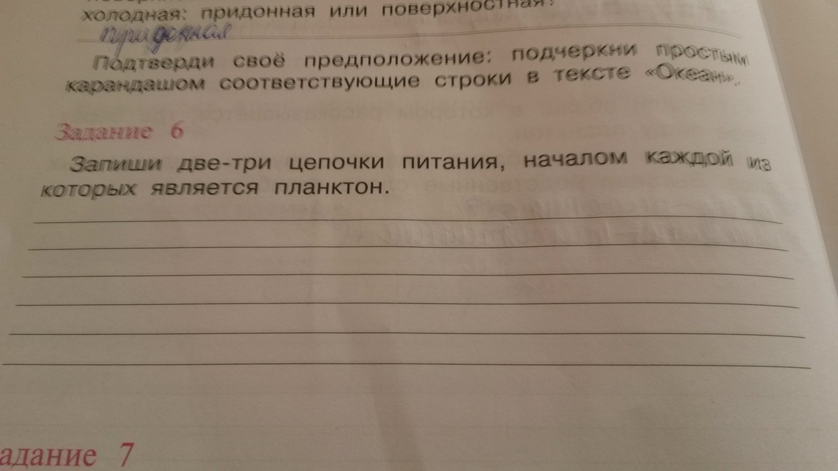 Запиши два. Запиши 2-3 Цепочки питания началом каждой из которых является планктон. Запиши две-три Цепочки питания, началом каждой из. Записать 2 3 Цепочки питания началом который является планктон. 2 Цепочки питания началом из которых является планктон.