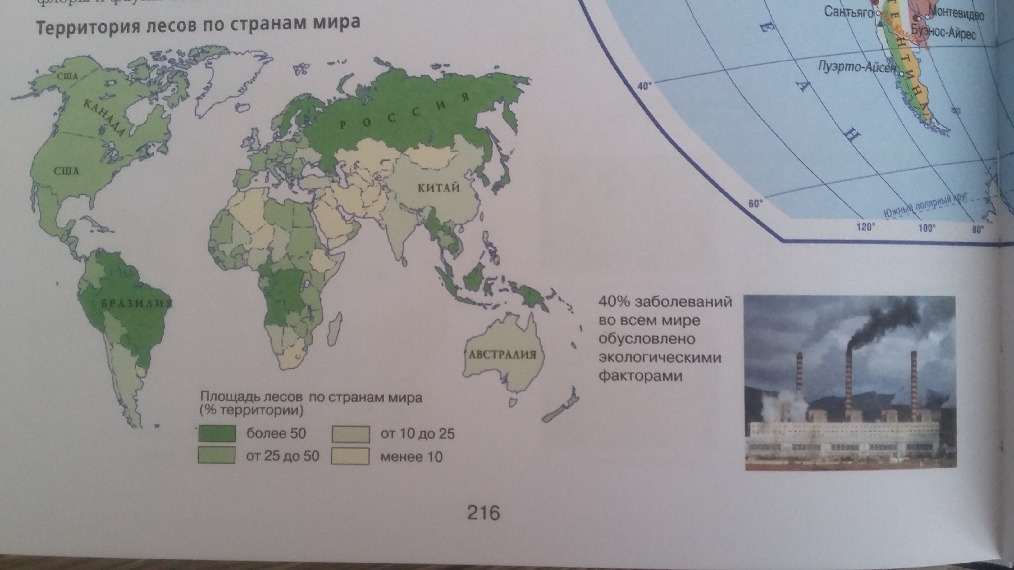 Страны входящие в южный лесной пояс. Северный и Южный Лесной пояс. Высотная поясность экологические проблемы. Южный Лесной пояс. Северный Лесной пояс.