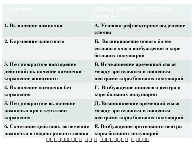 Пожалуйста сопоставьте. Включение лампочки кормление животного. Действие включение лампочки кормление животного. Действия включение лампочки условно рефлекторное выделение слюны. Биология включение лампочки кормление животного.