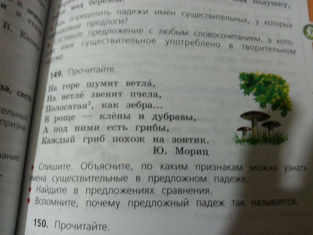 пила падеж. на горе шумит ветла на ветле звенит пчела. пила падеж. клена определи падеж.