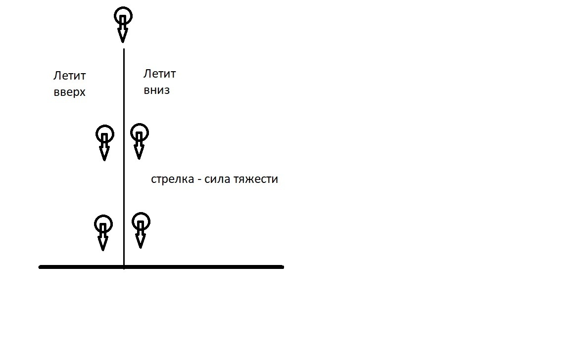 На рисунке схематически изображен. На рисунке стрелкой изображена сила которая действует на. Какая сила изображена на рисунке стрелка вверх. Какая сила изображена на рисунке стрелка вниз. Сила тяжести стрелка вверх или вниз.