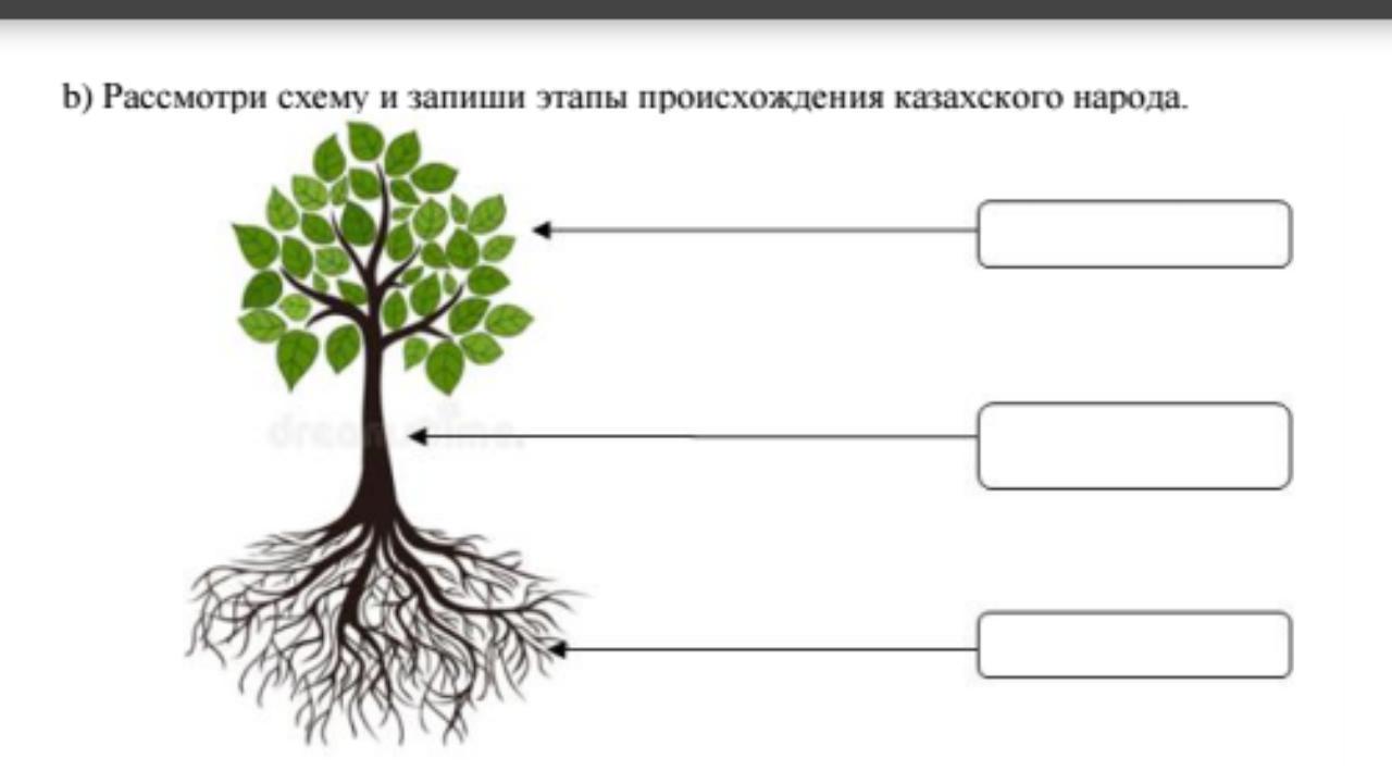 Этапы формирования казахского народа