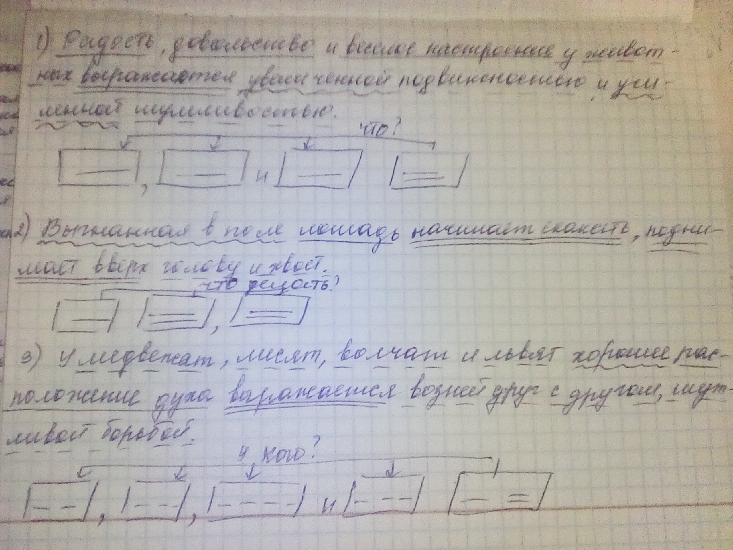 Схема предложения ребята подобрали на дороге лисенка. У медвежат лисят волчат и львят хорошее расположение духа схема.