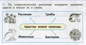 Рассмотрите рисунки определите тип развития каждого животного впишите номера в таблицу