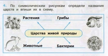 Какие царства живой природы изображены на рисунках запиши названия в таблицу 2 класс впр ответы